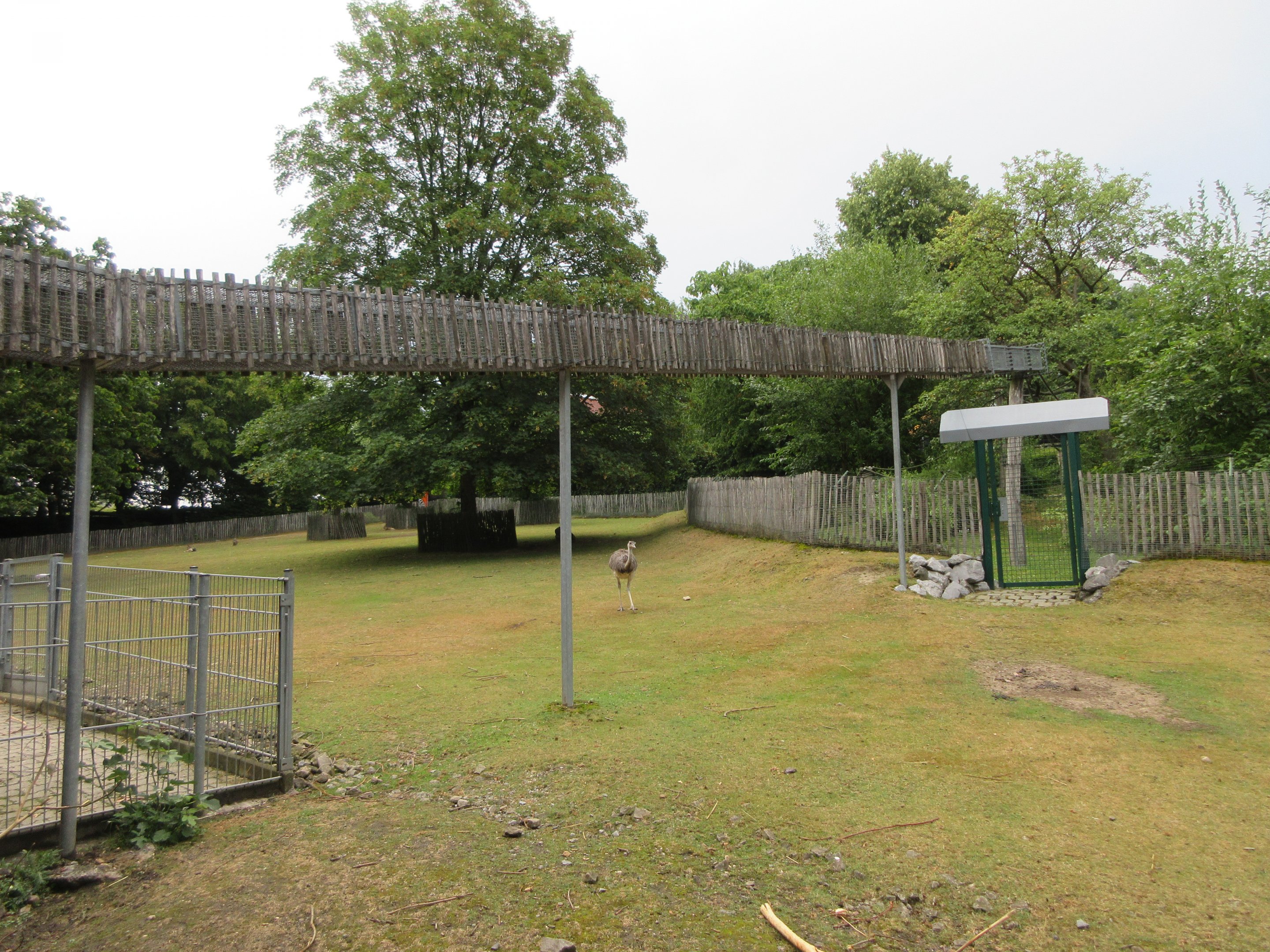 South American Exhibit (with Squirrel Monkey passage)