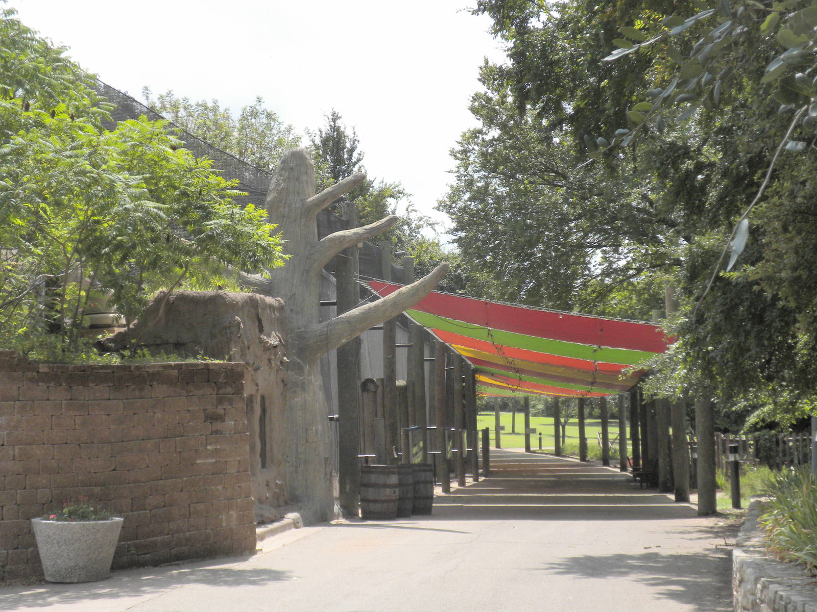 South American exhibit
