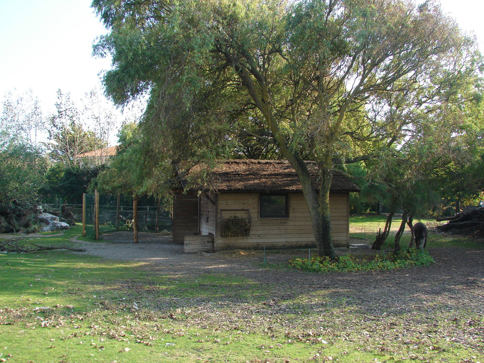 South american exhibit