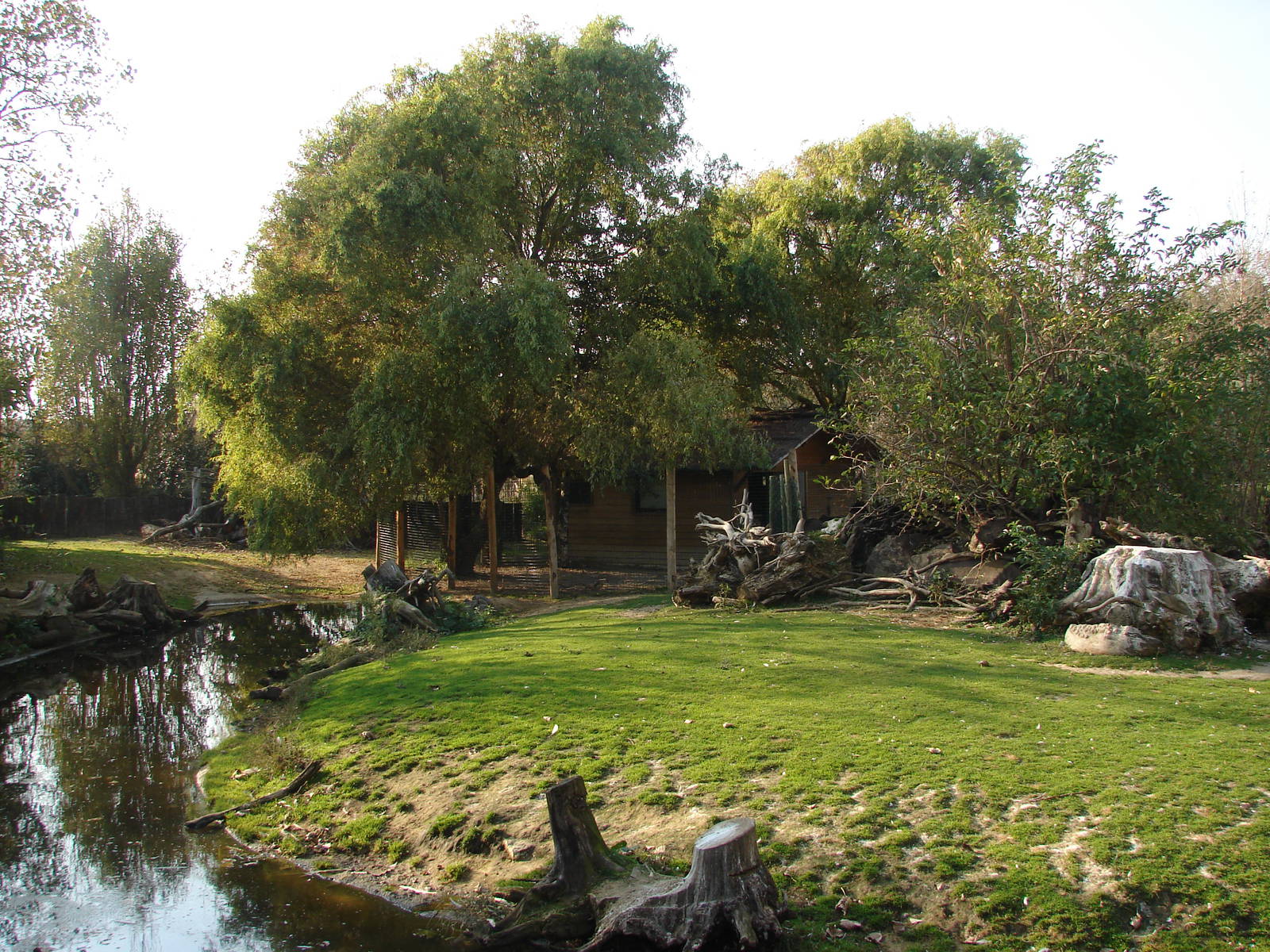 South american exhibit