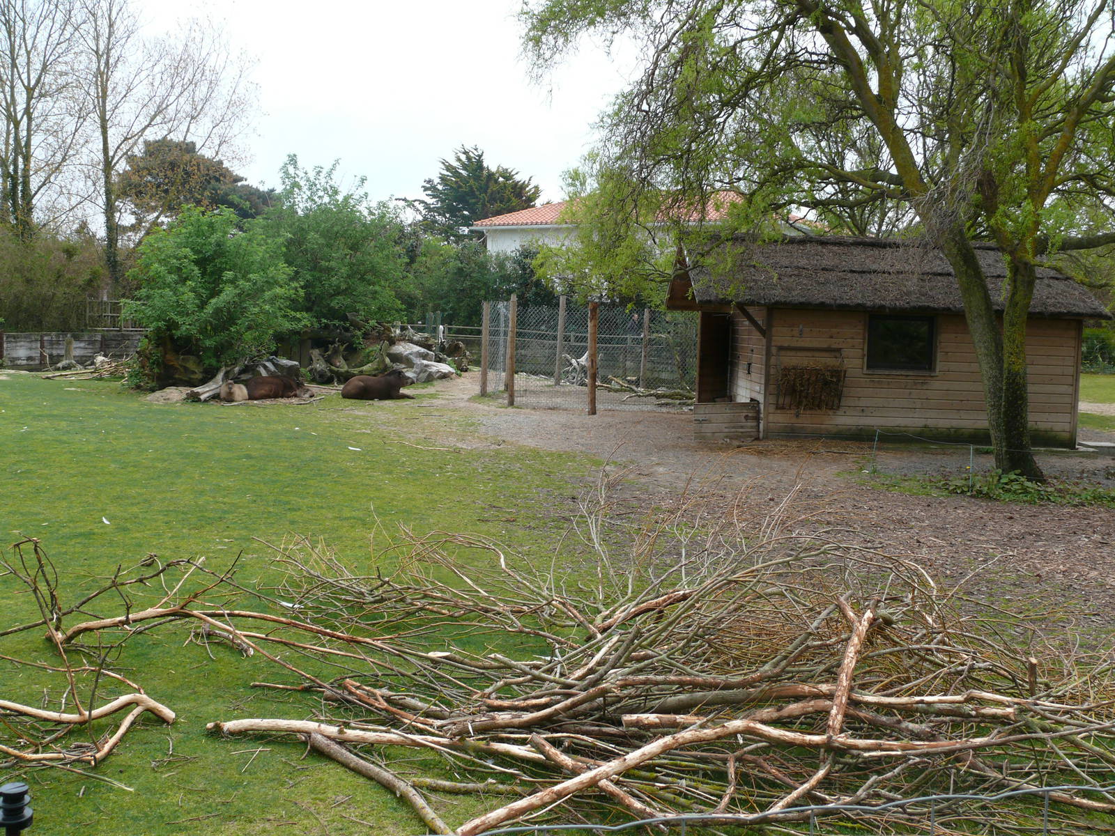 South american exhibit