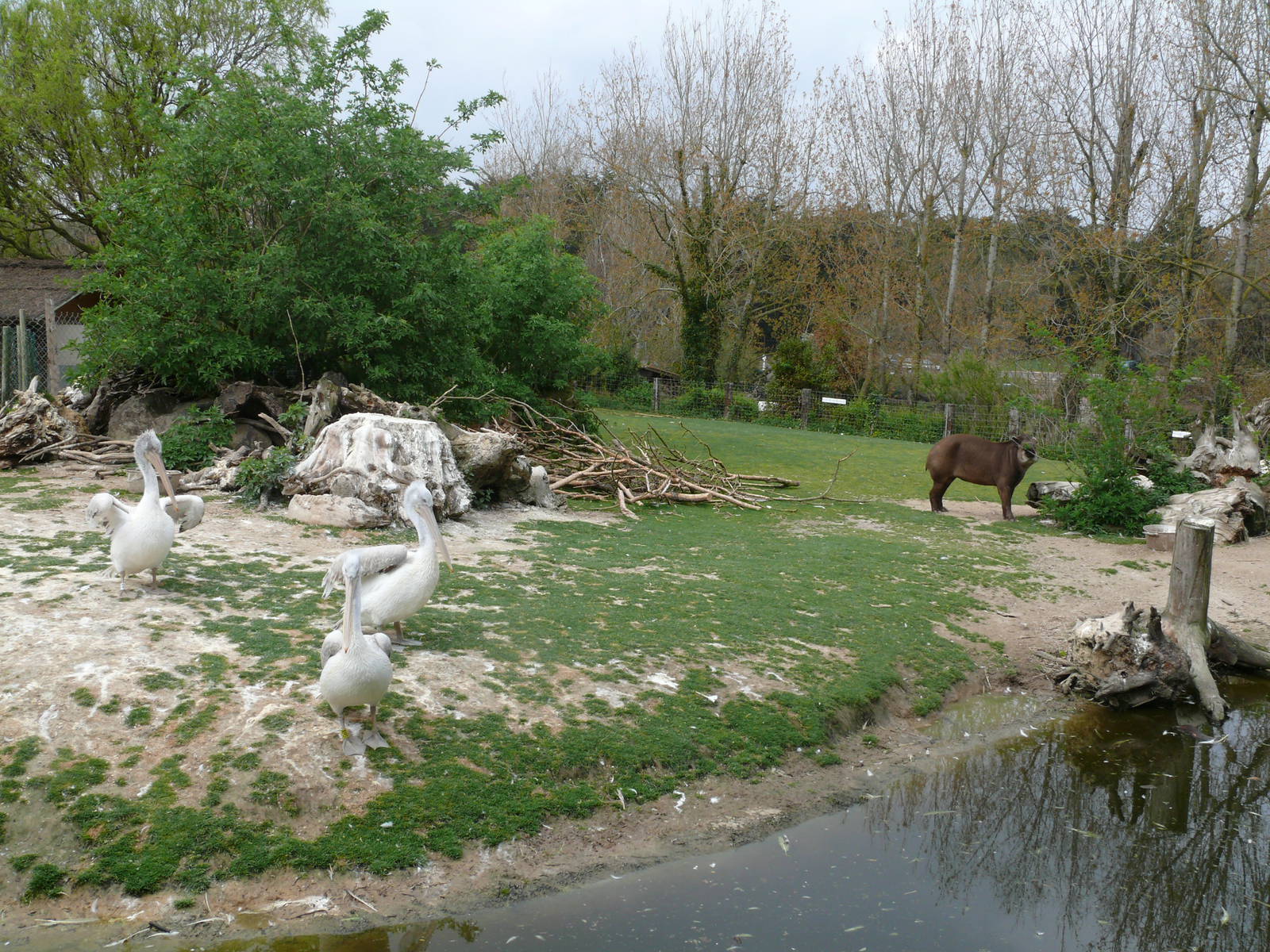South american exhibit