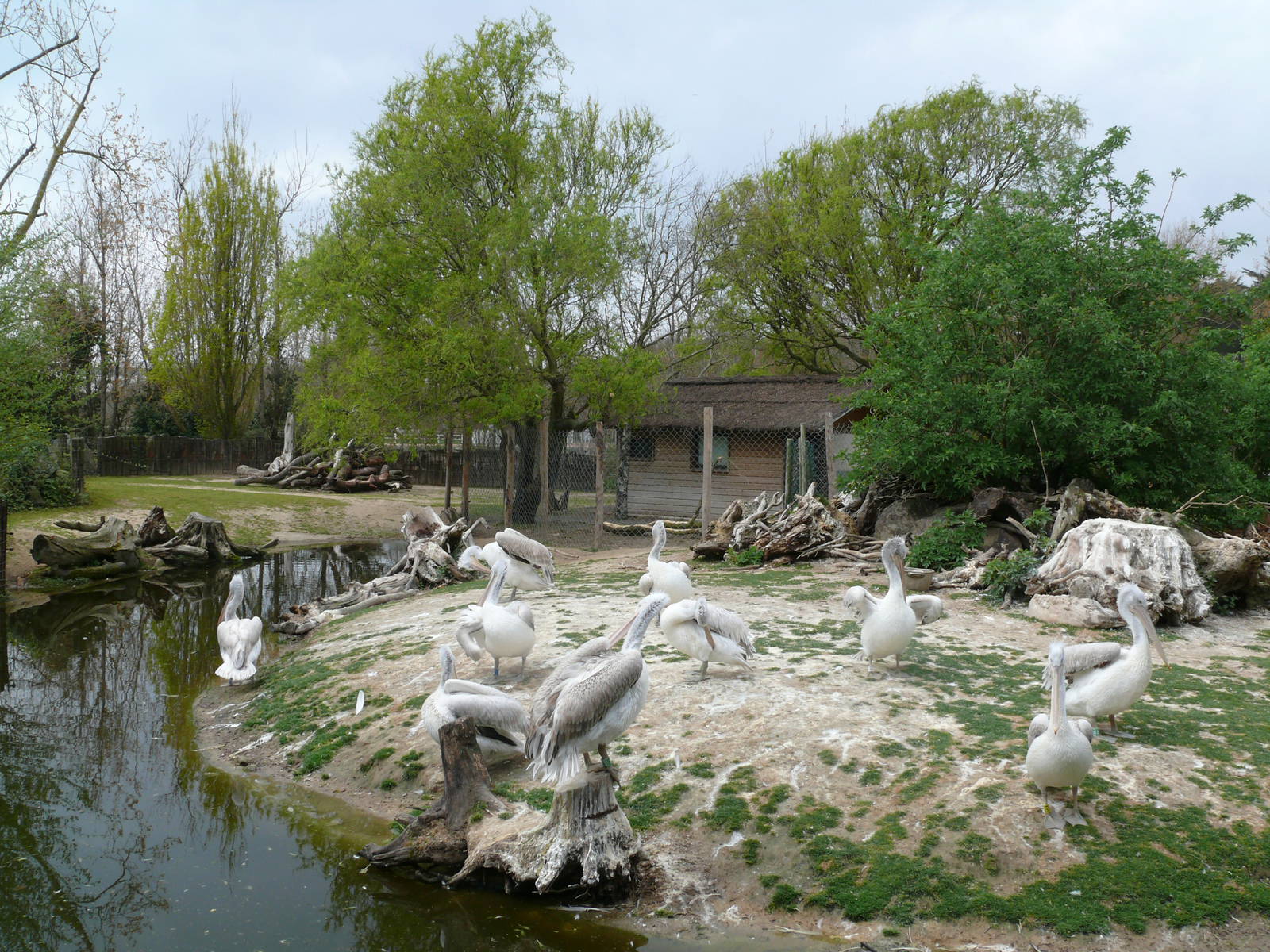 South american exhibit