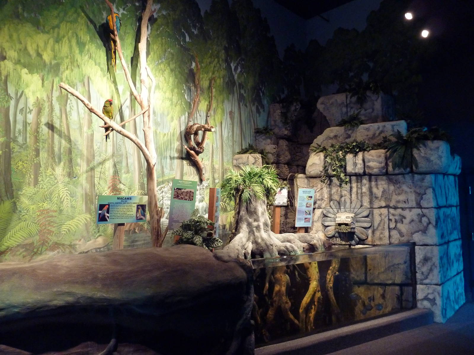 South American Exhibit