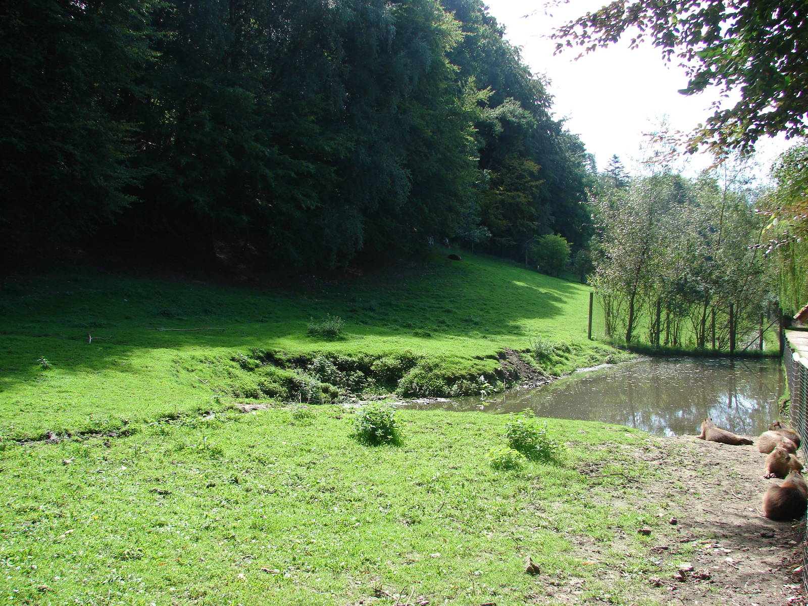 South american exhibit