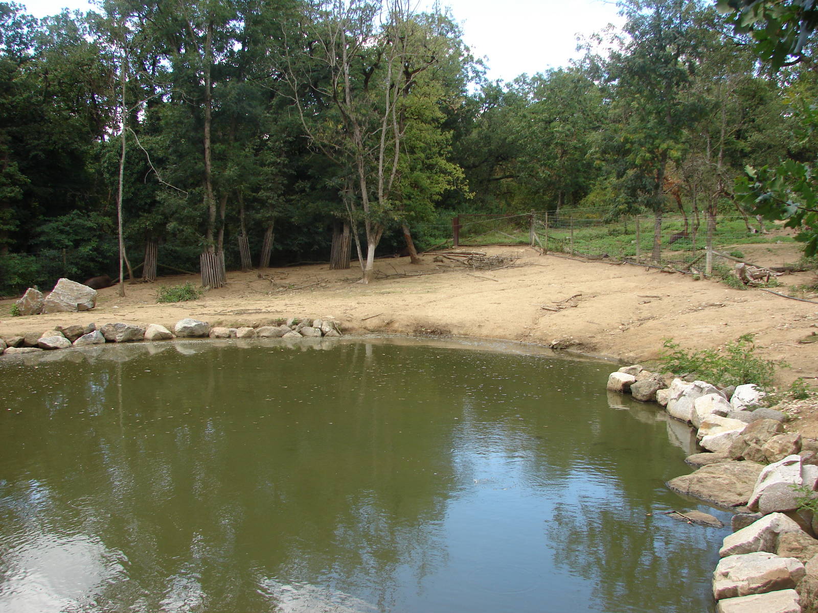 South american exhibit
