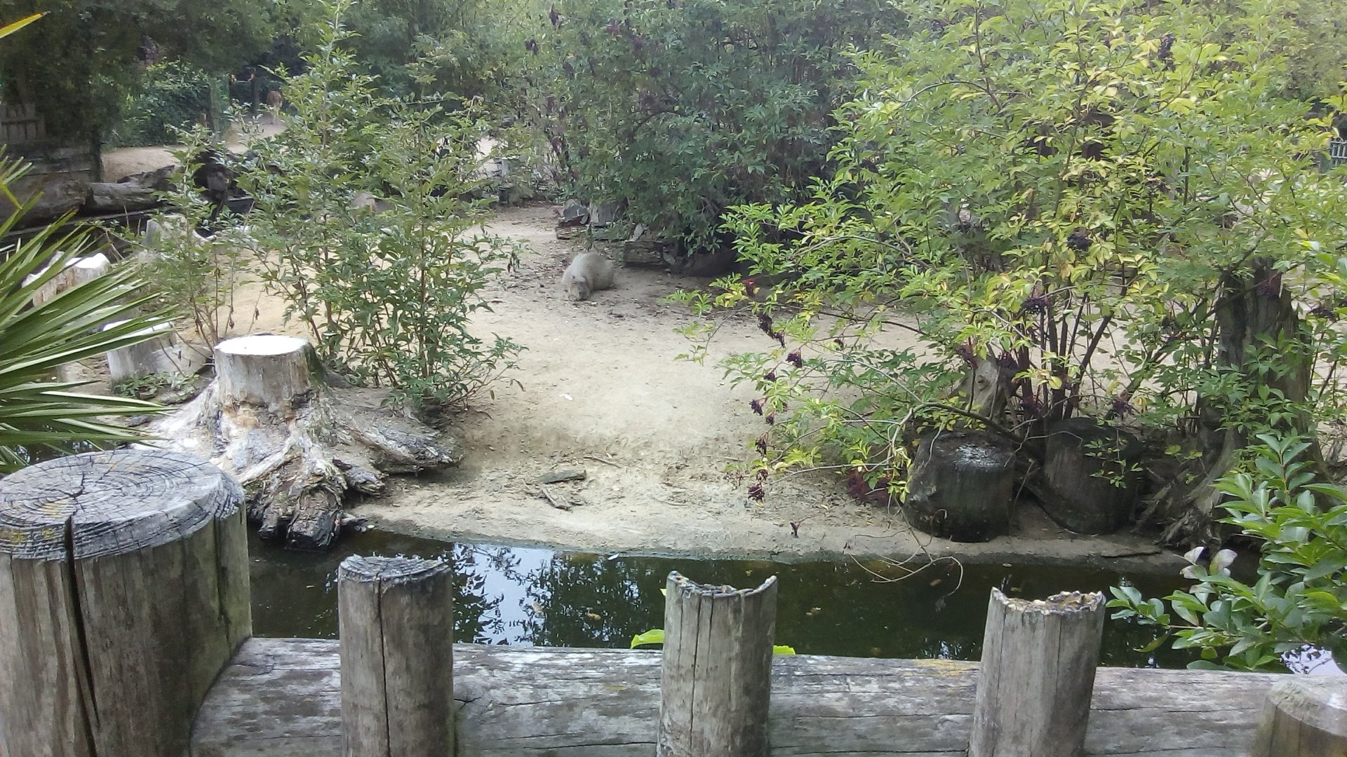 South American Exhibit