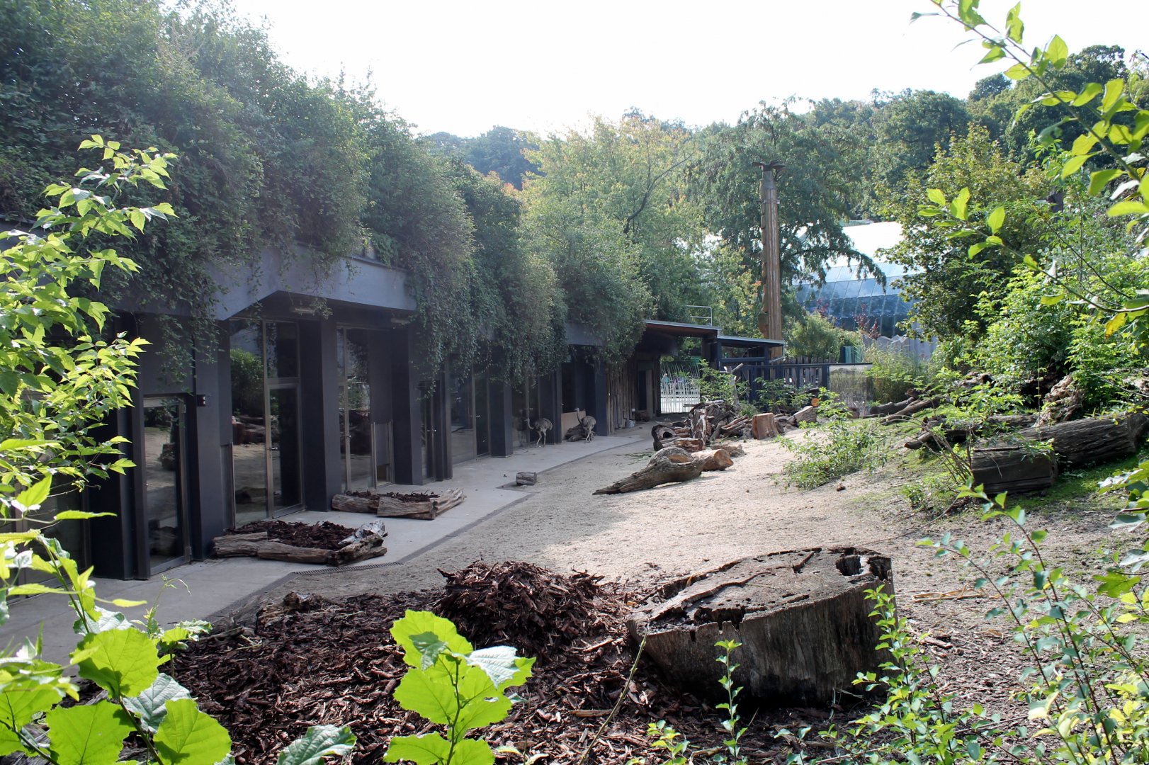 South American Exhibit