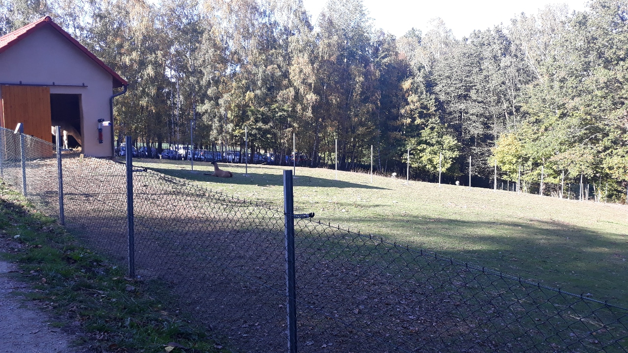 South American exhibit