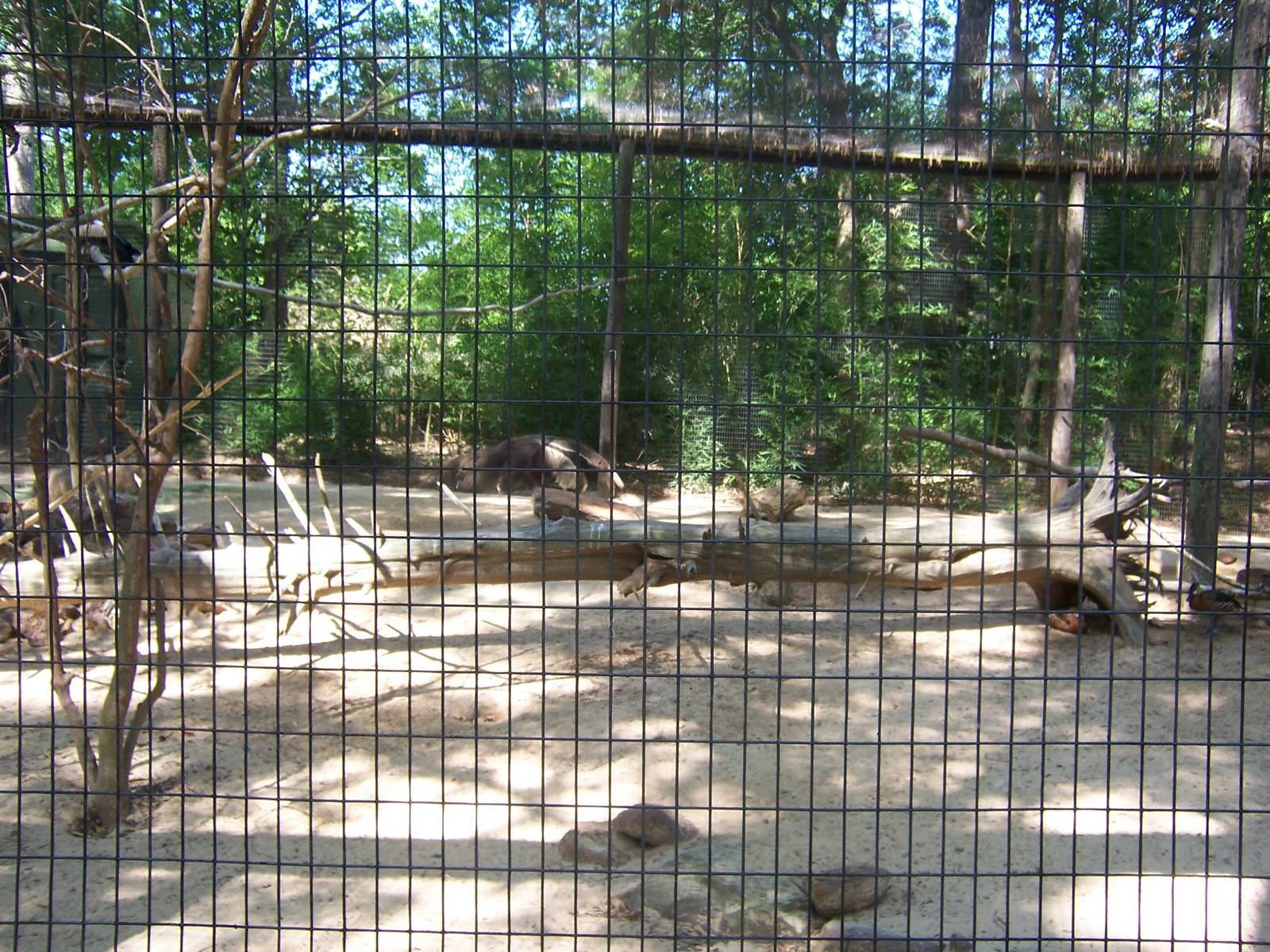 South American Exhibit