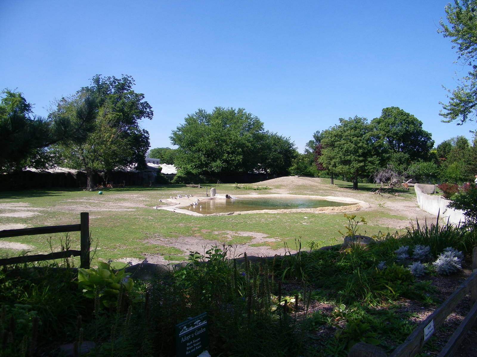 South American Exhibit
