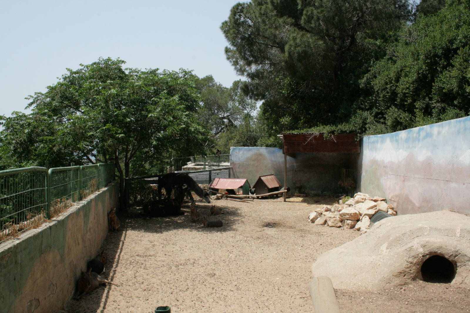 south american exhibit