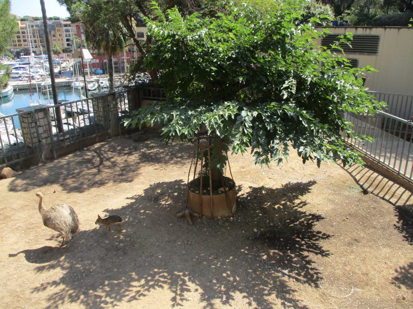 South American exhibit