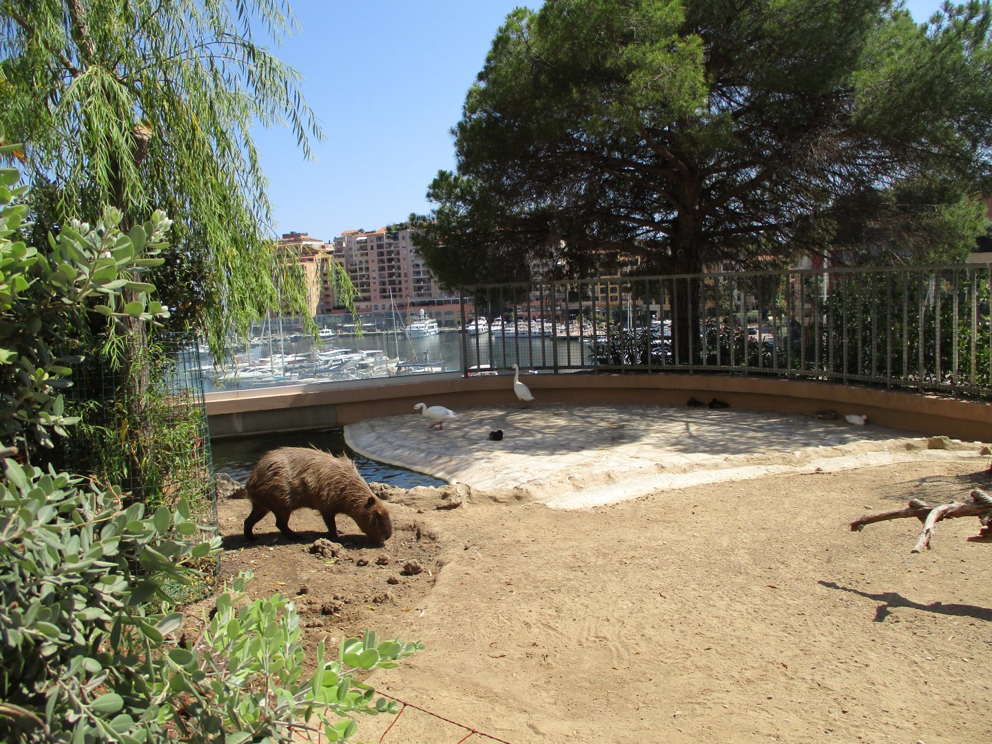 South American exhibit