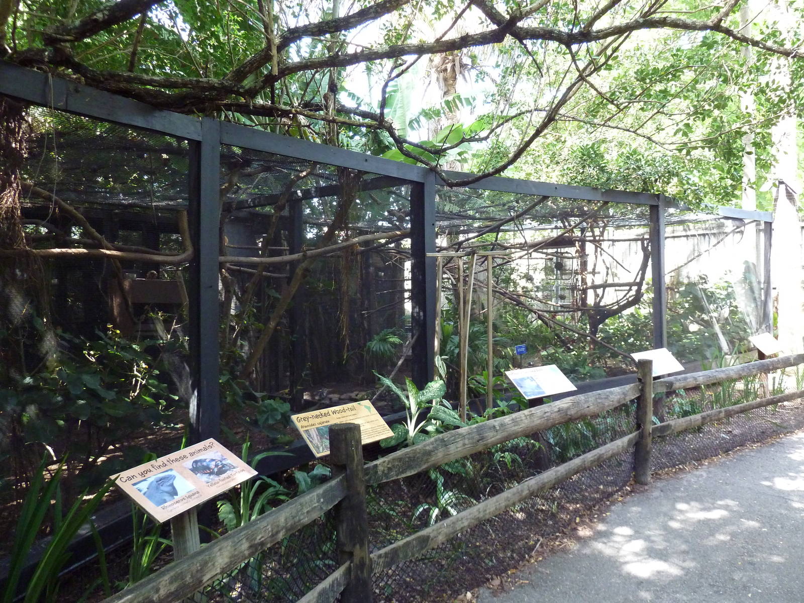 South American Exhibits