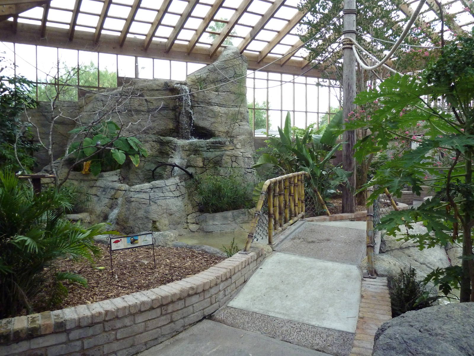 South American Free-Flight Aviary