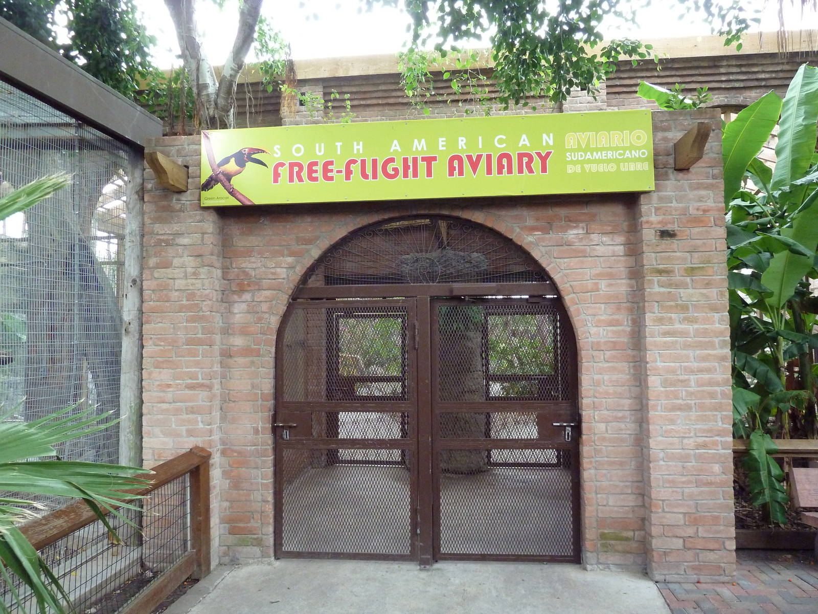 South American Free-Flight Aviary