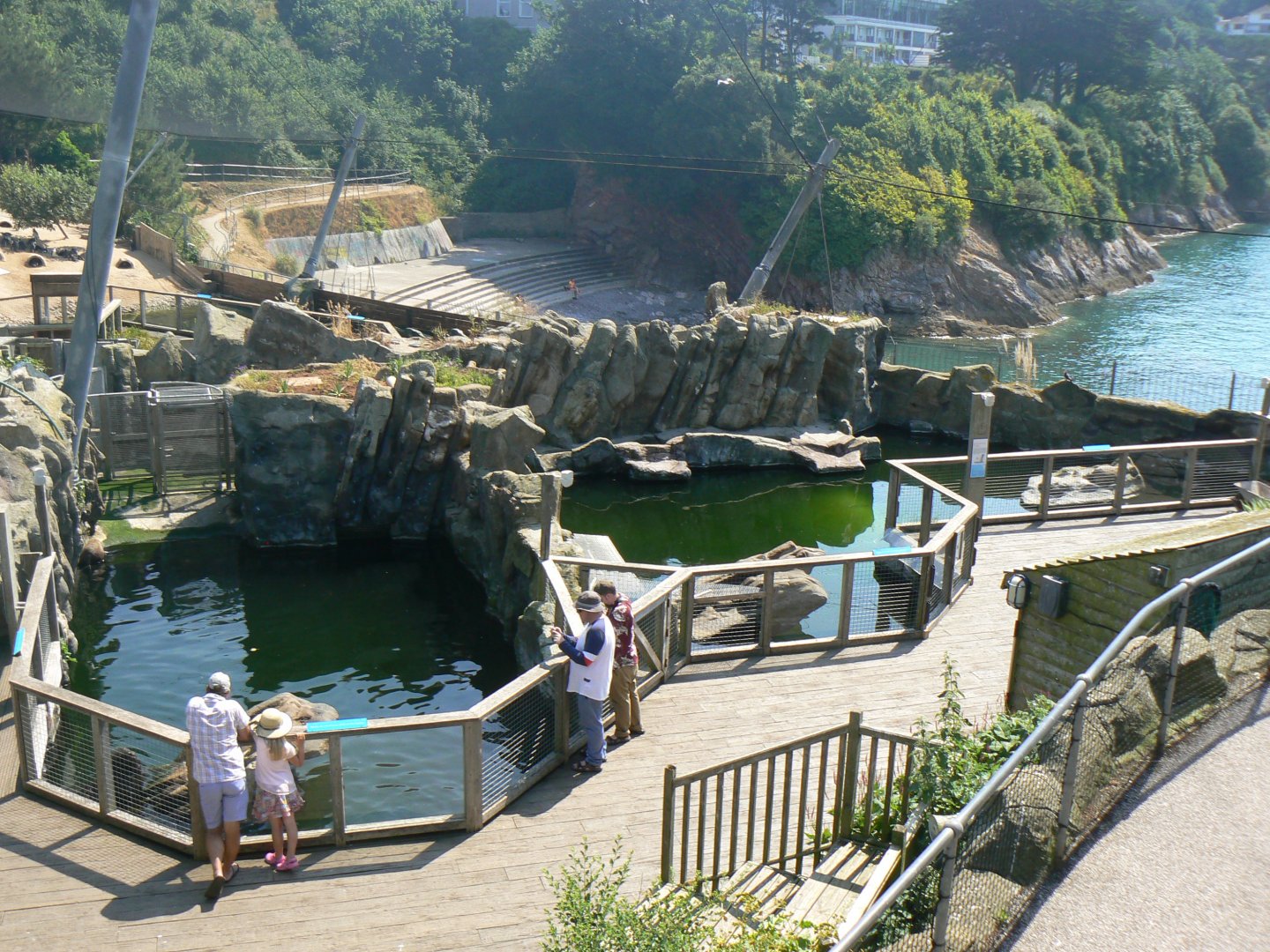 South American Fur Seal enclosure - 6 July 2018