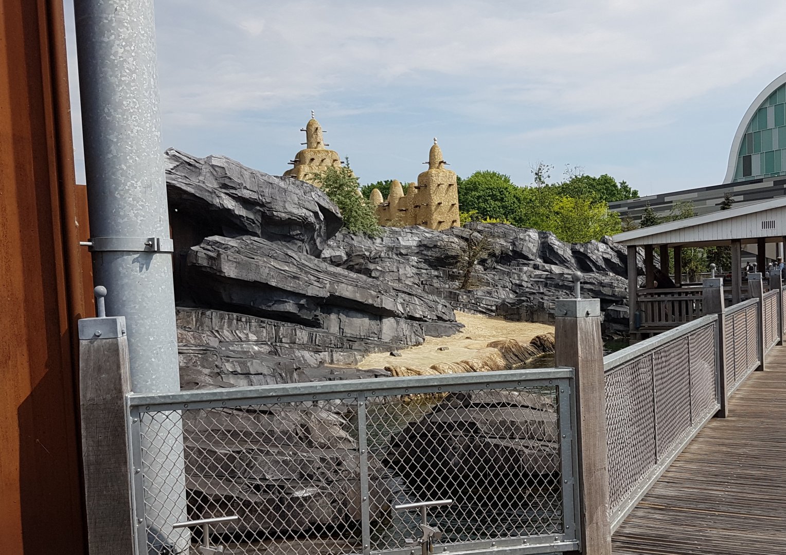 South-american fur seal enclosure