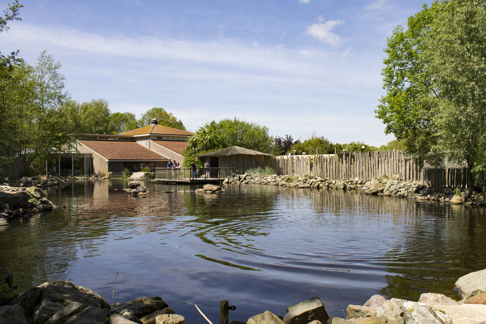 South american fur seal exhibit (May 23th, 2015)