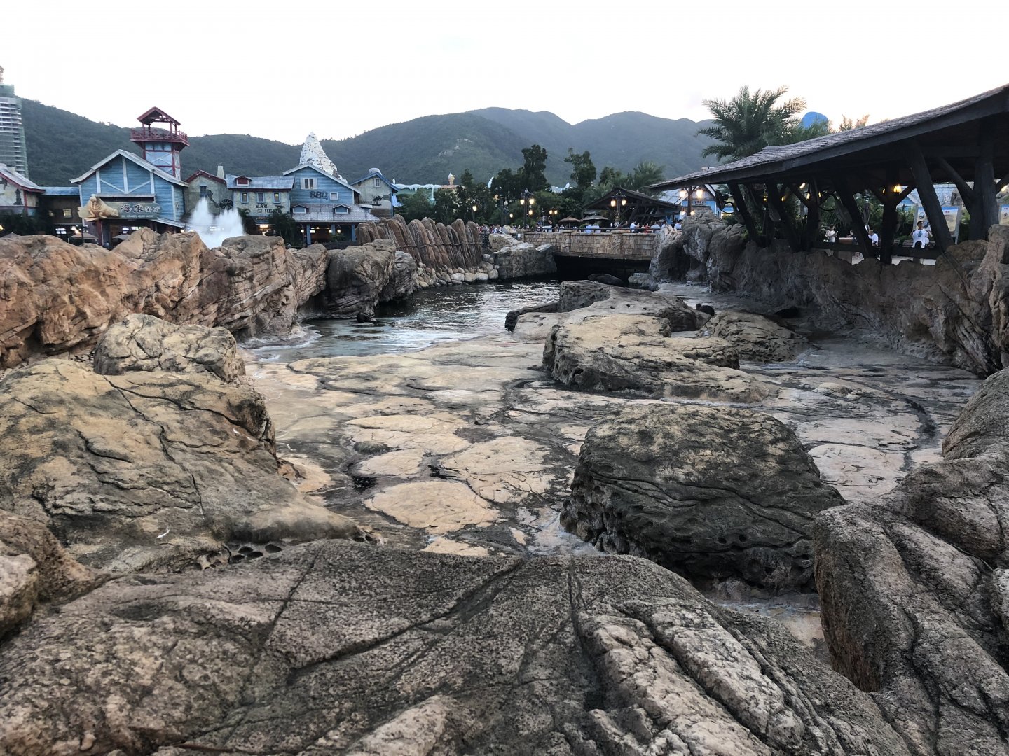 South American Fur Seal Exhibit