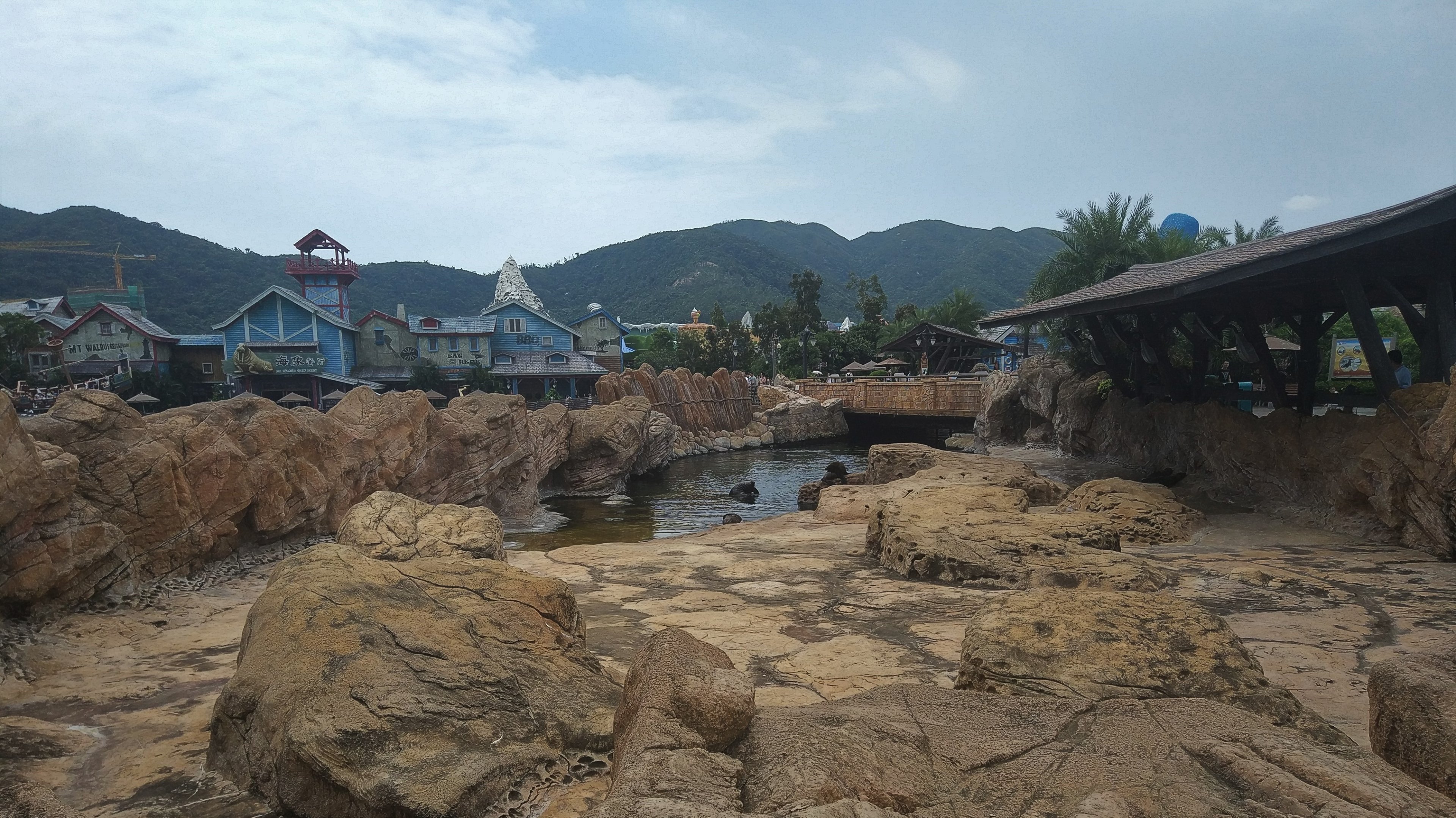 South American Fur Seal Exhibit