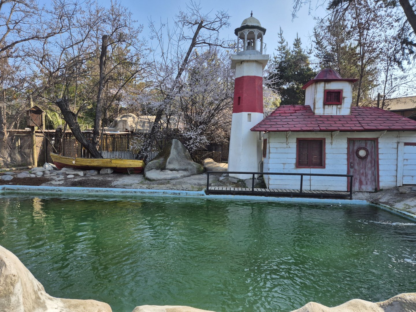 South American Fur Seal exhibit
