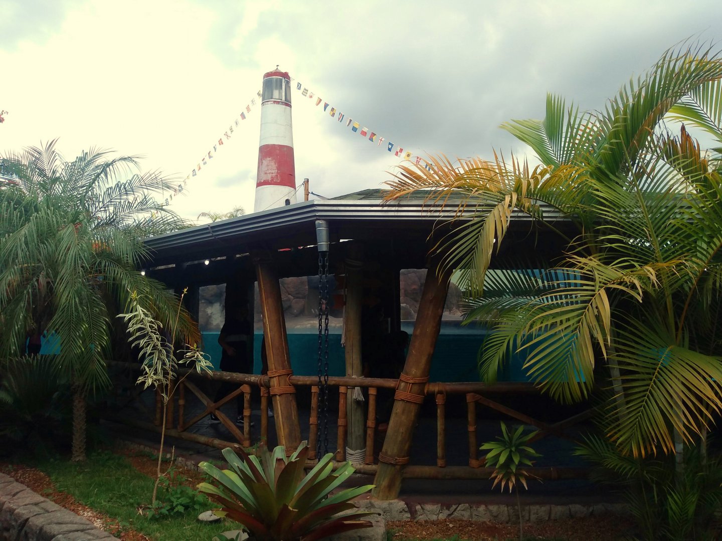 South American fur seal exhibits - São Paulo Aquarium