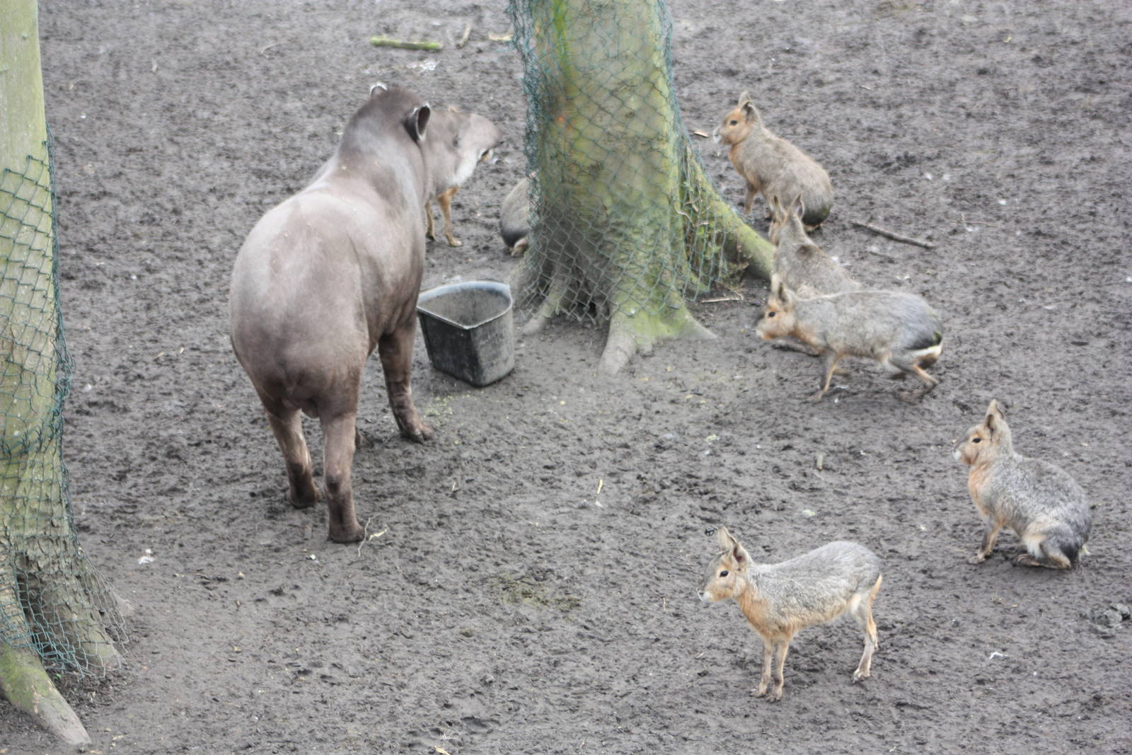 South American gathering, 18th February 2015