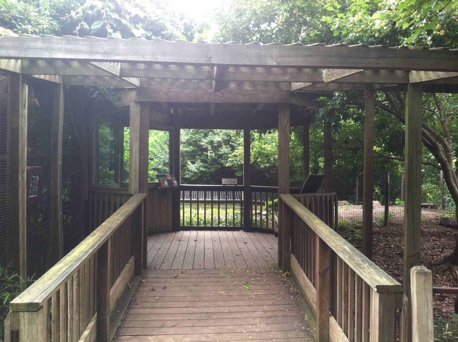 South American (Gazebo?)