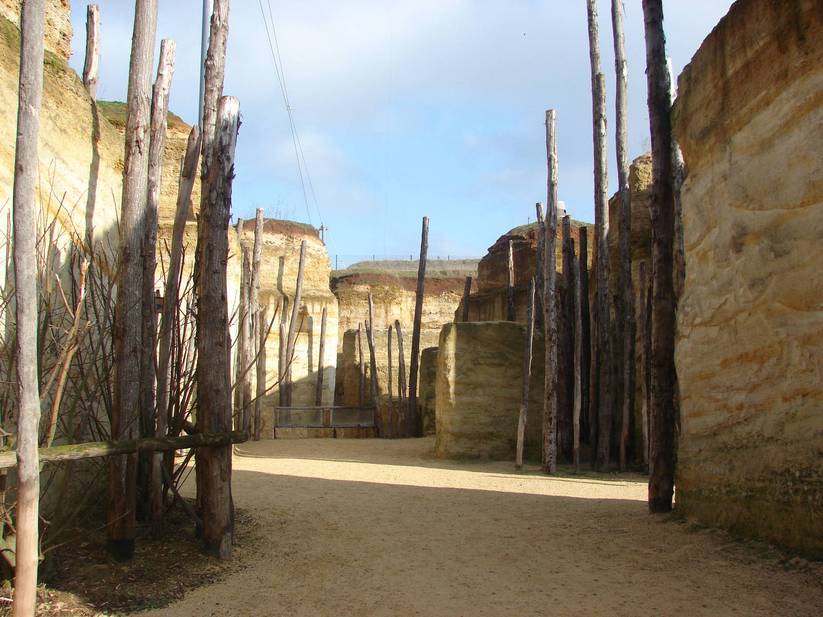 South american giant aviary