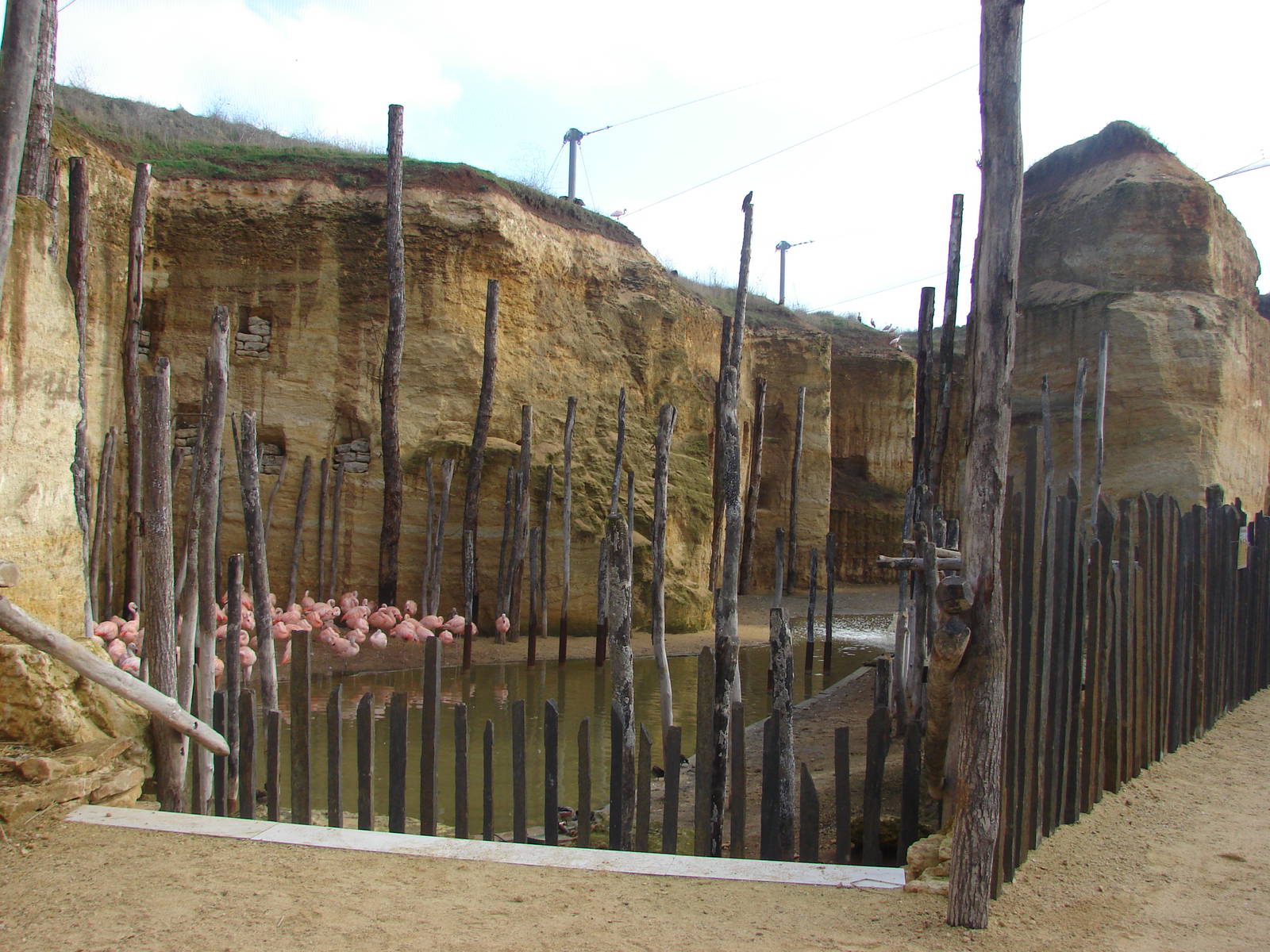 South american giant aviary