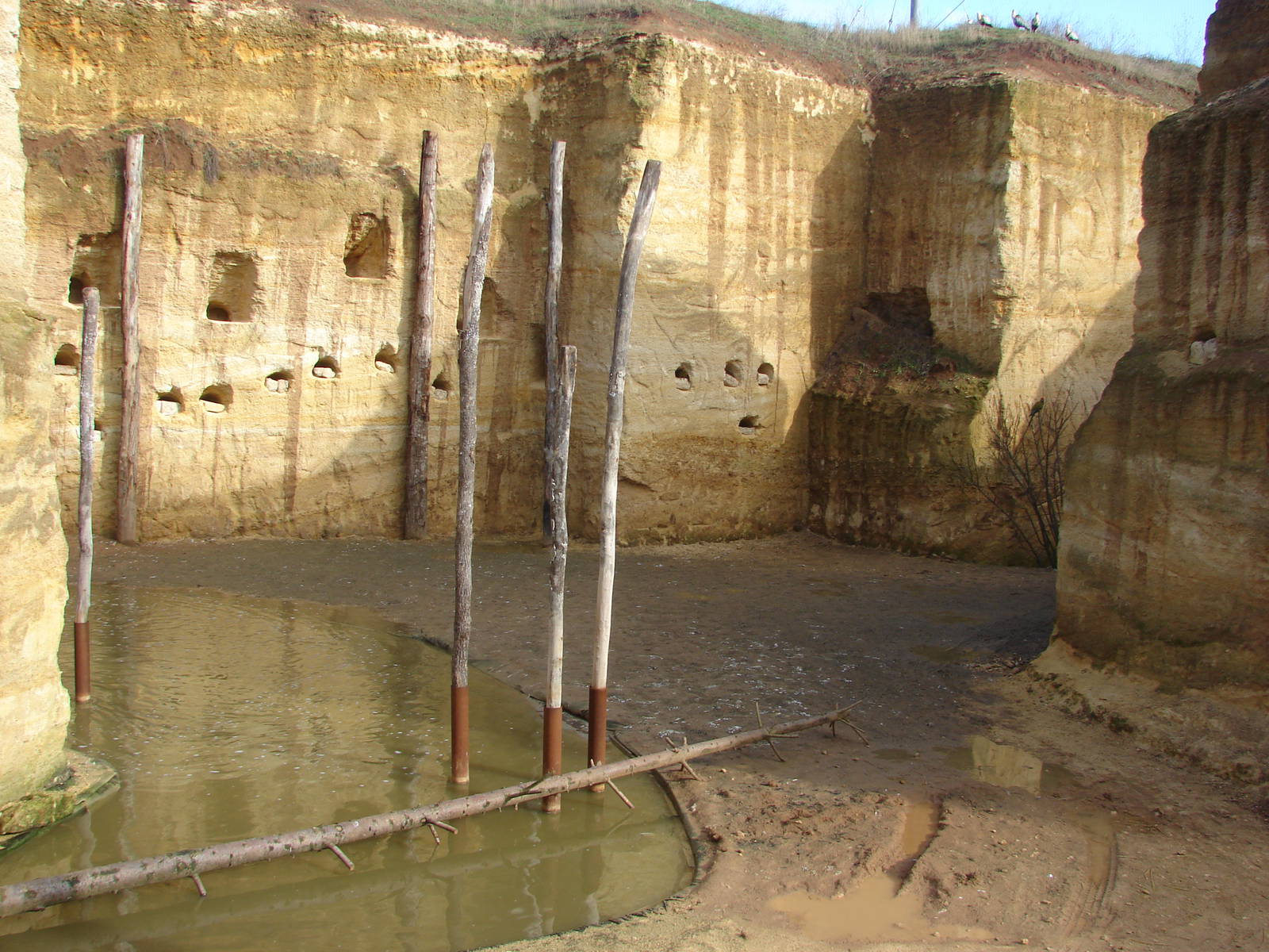 South american giant aviary