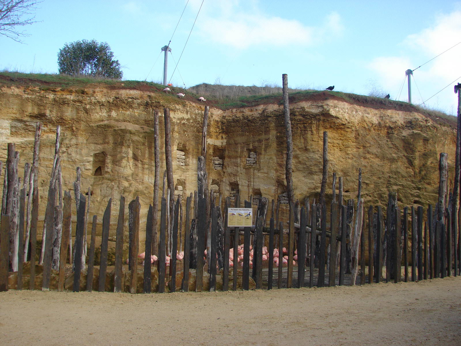 South american giant aviary