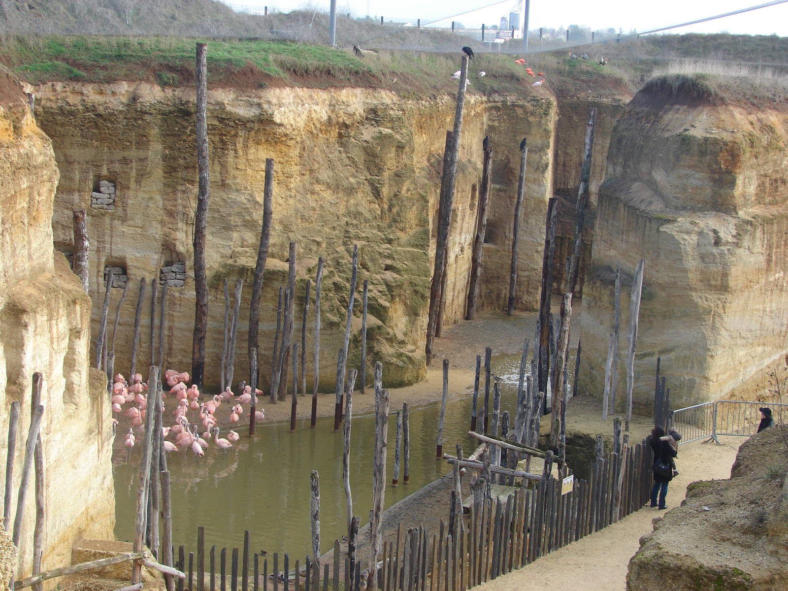 South american giant aviary