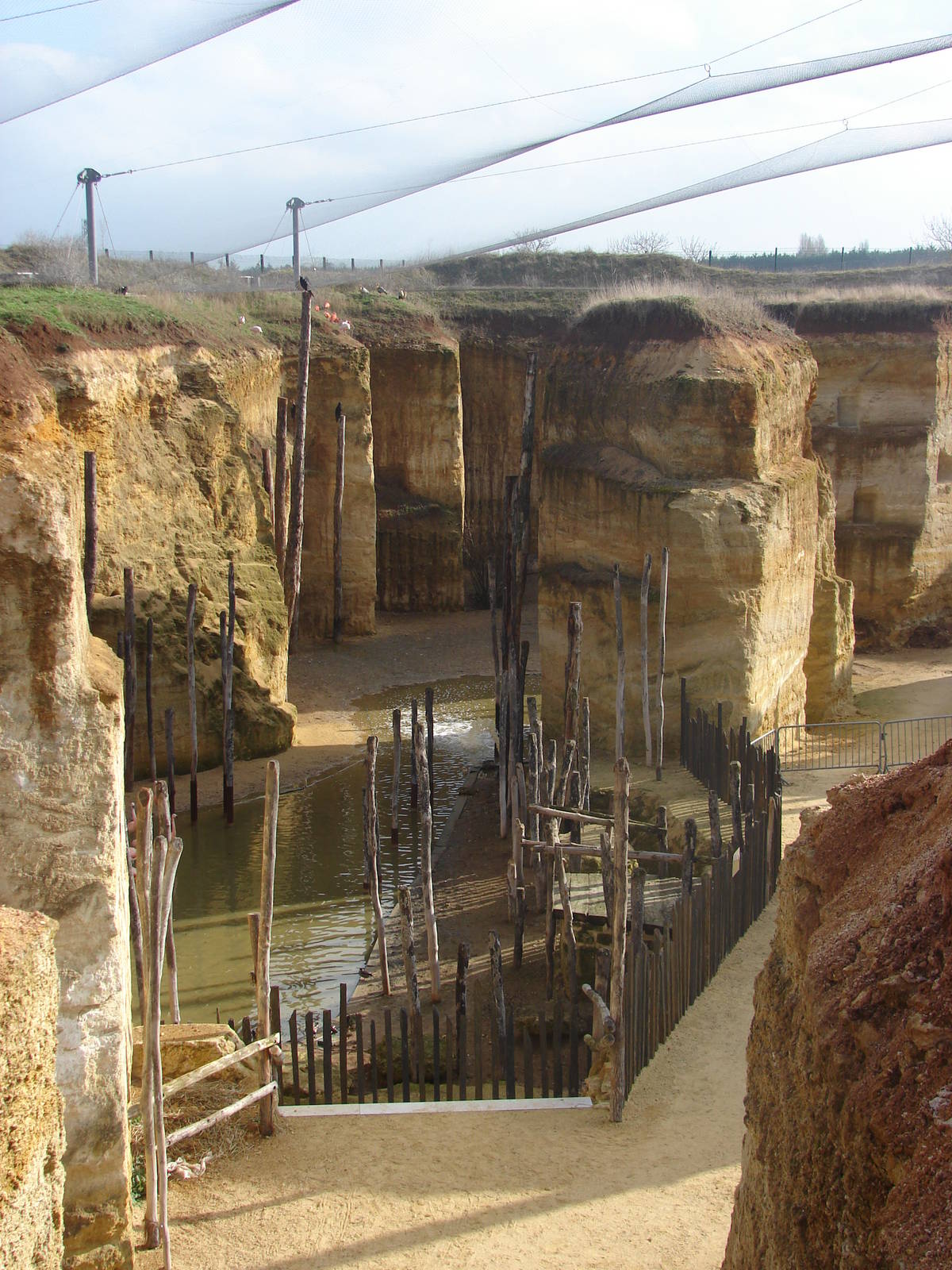 South american giant aviary