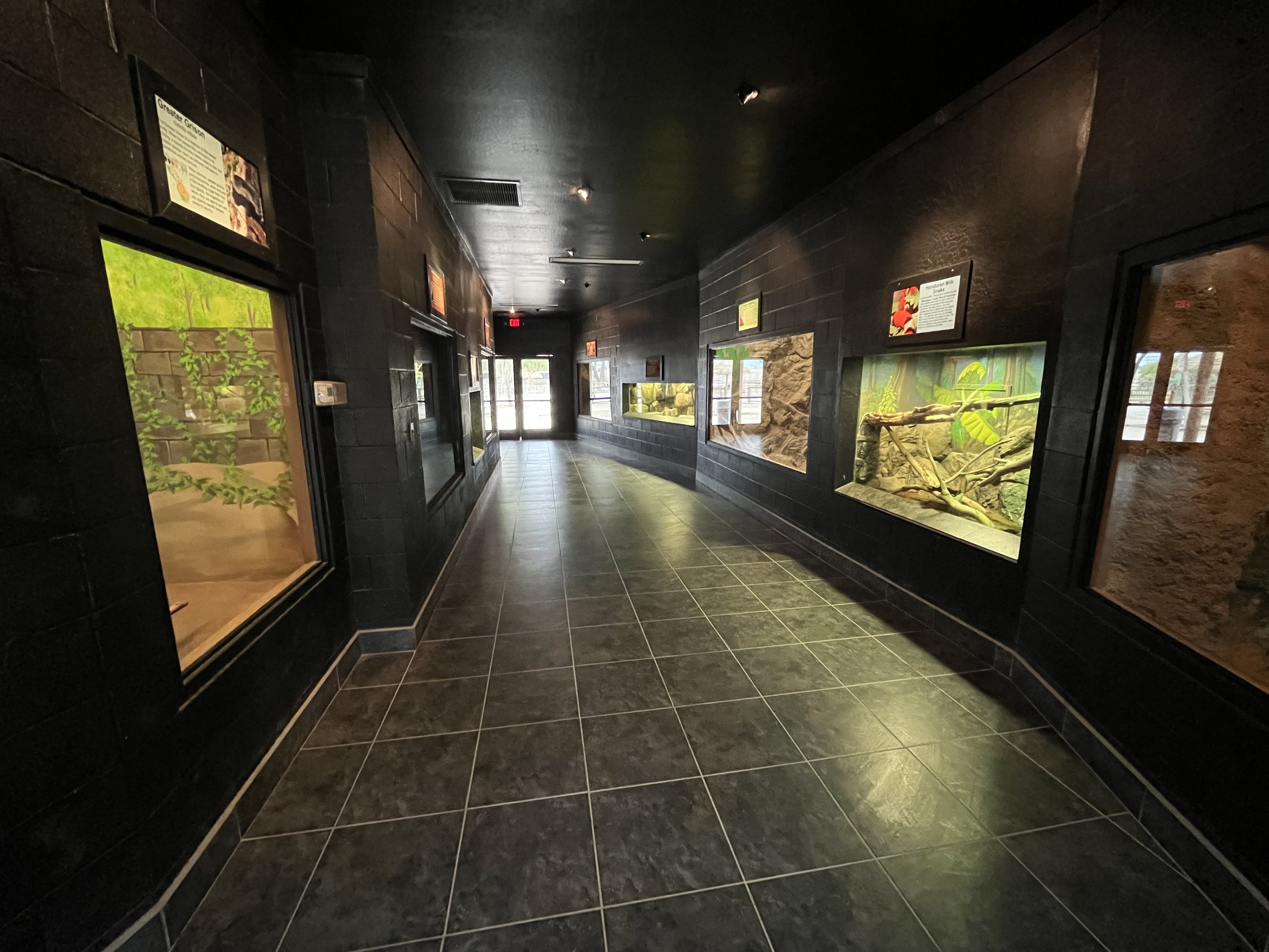 South American House - 10 exhibits