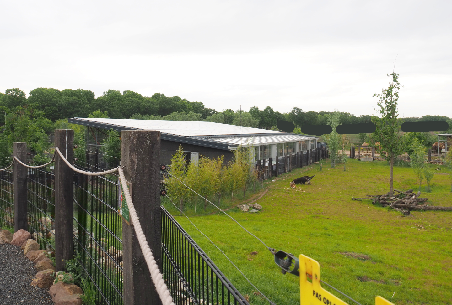 South American House, 2022-05-17