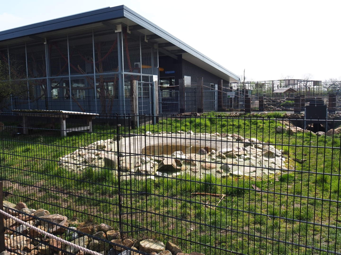 South American house and Giant anteater - Azara's agouti paddock, 2019-04-06