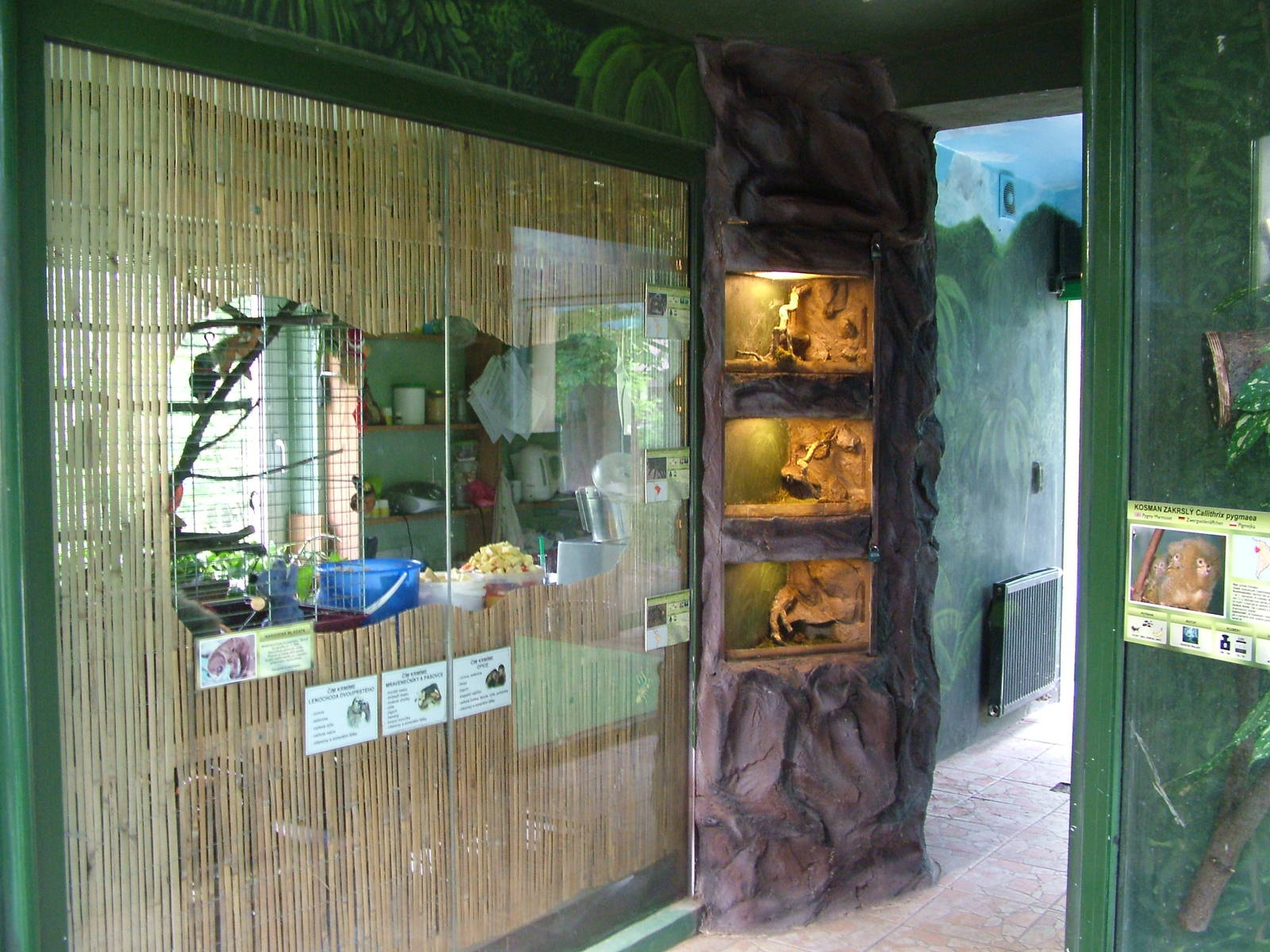 South American House interior at Olomouc 30/05/09