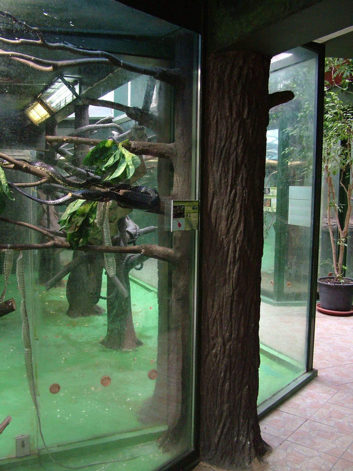 South American House interior at Olomouc 30/05/09