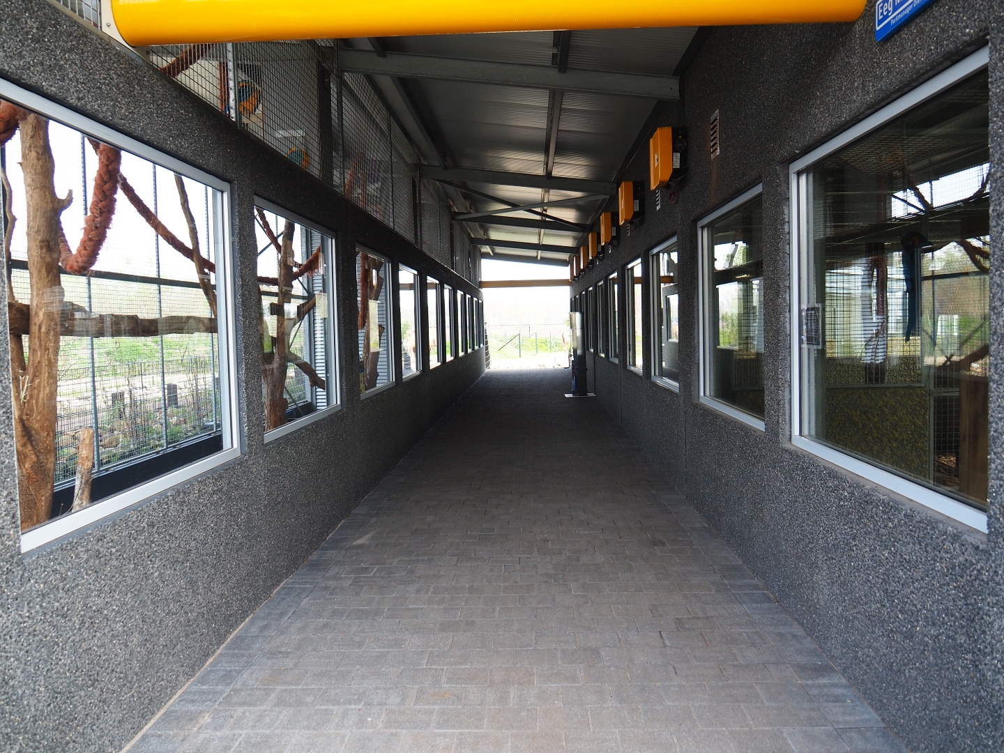 South American house pathway, 2019-04-06