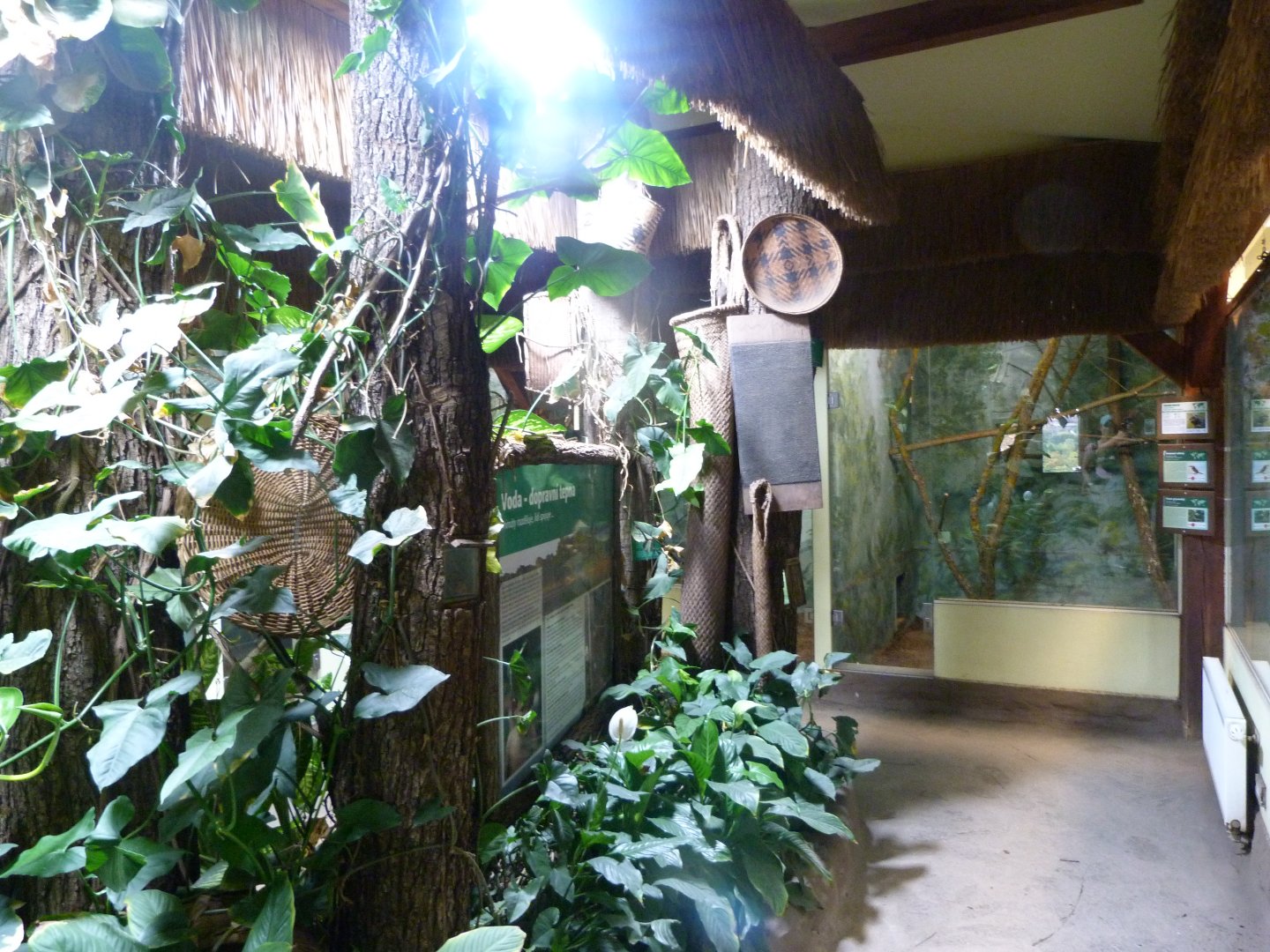 South American house view -Zoo Plzeň (2025)