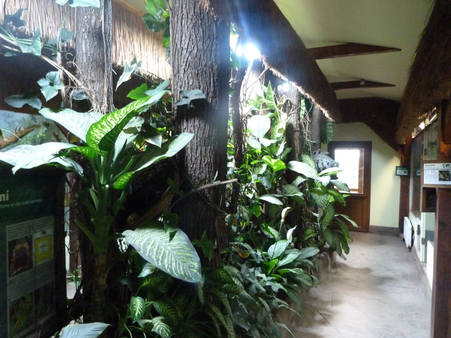 South American house view -Zoo Plzeň (2025)