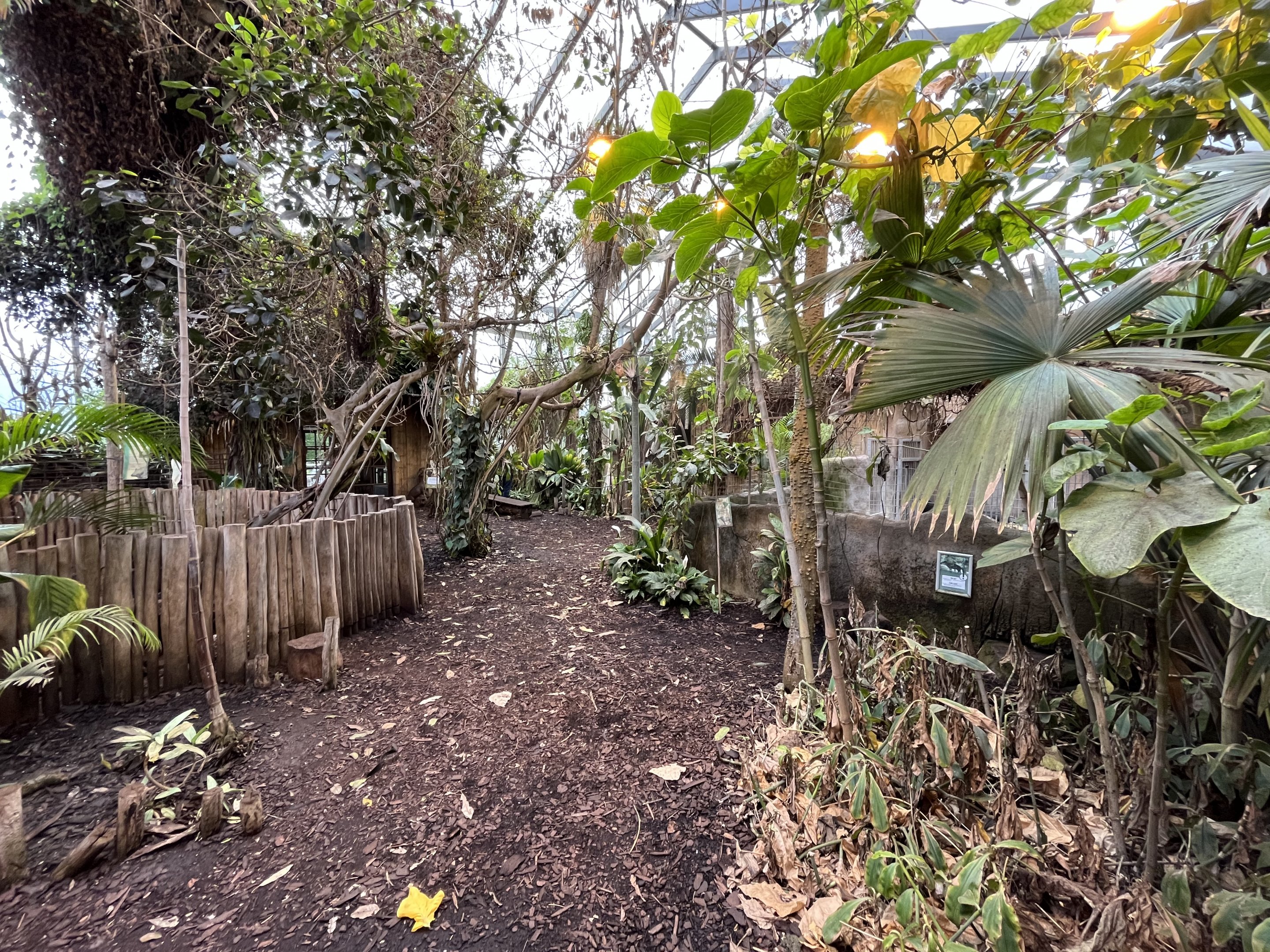 South American House