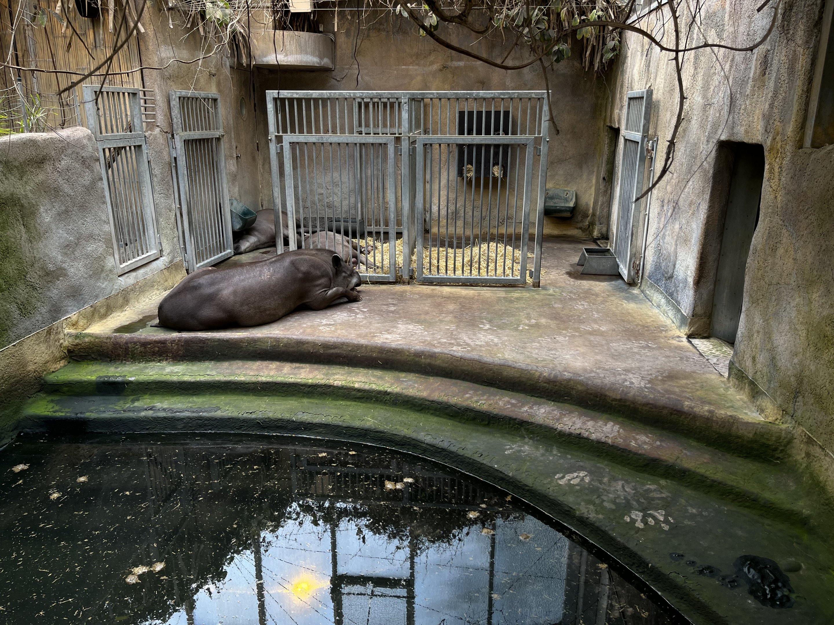 South American House