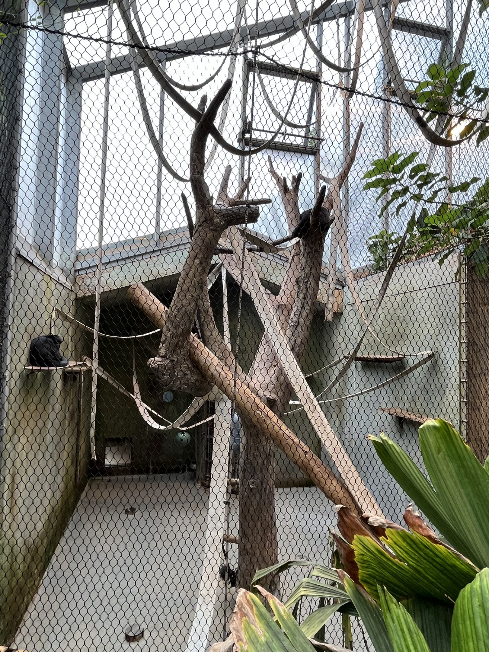 South American House