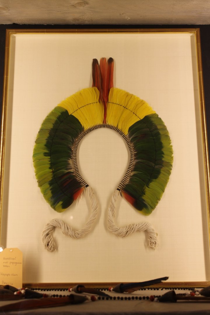 South American Indian-headdress