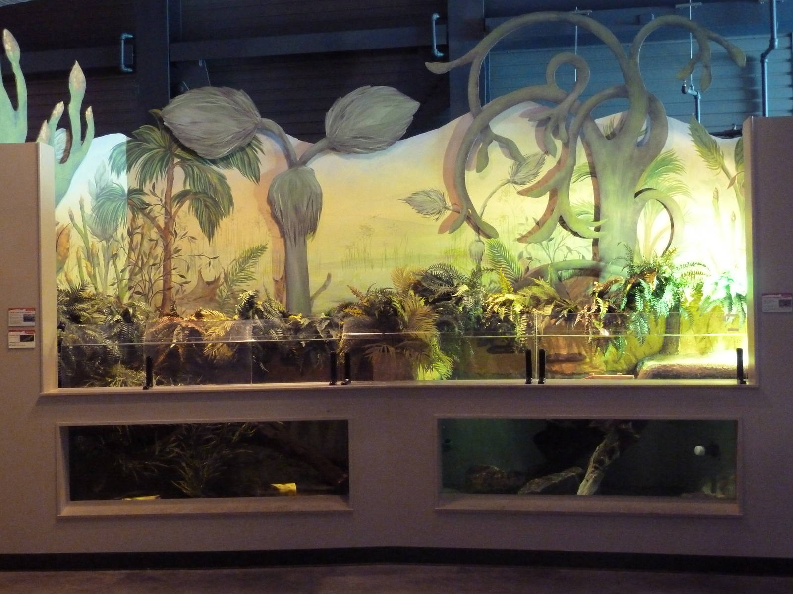 South American Lungfish + Common Snapping Turtle Exhibits