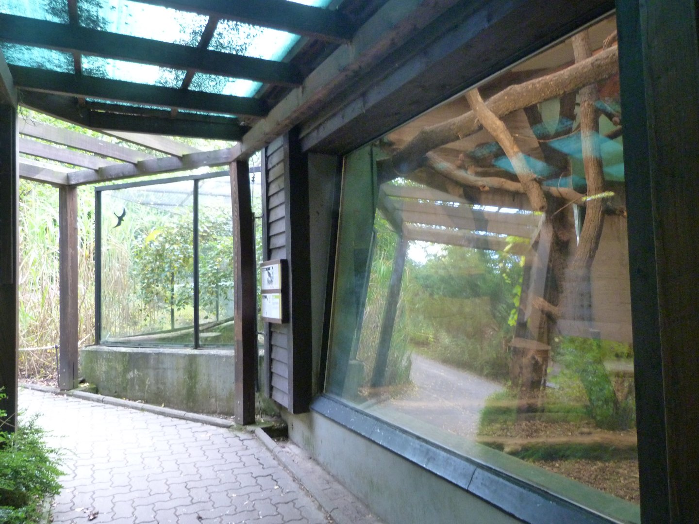 South American mammal house -Zoo Praha (2025)